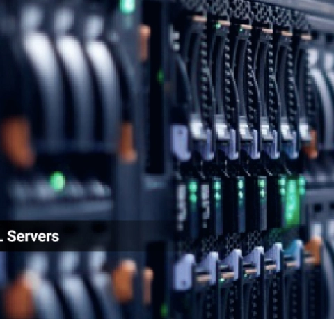 Cluster of MySQL Servers SASCSI Cheetah 240MBs